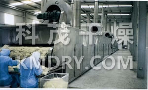 DWC Series Dryer for Vegetable Dehydration